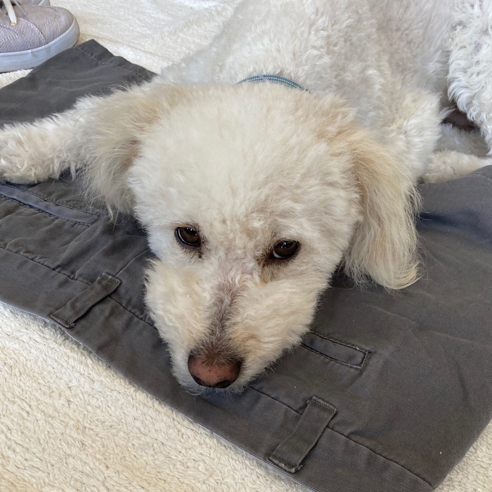 Meet your Posher, Alyssa